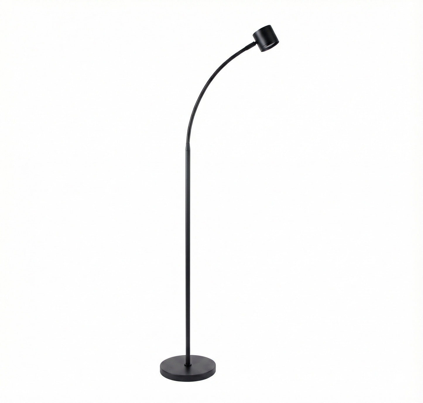 Clarity Floor Standing Reading Light