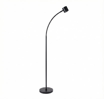 Clarity Floor Standing Reading Light
