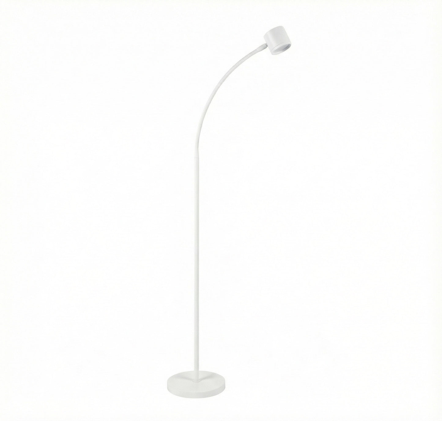 Clarity Floor Standing Reading Light