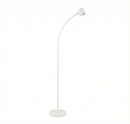 Clarity Floor Standing Reading Light