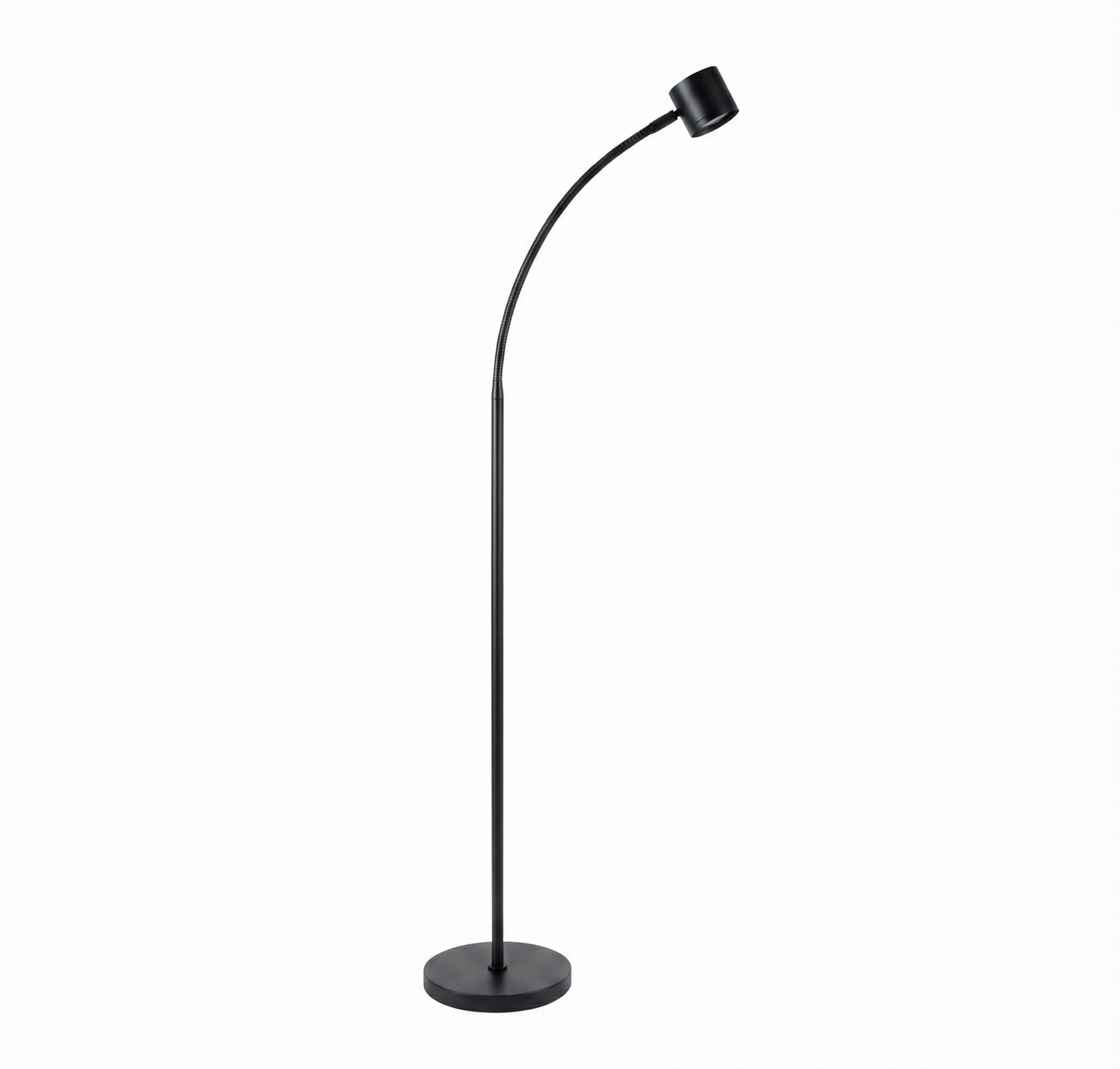 Clarity Floor Standing Reading Light