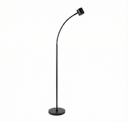 Clarity Floor Standing Reading Light